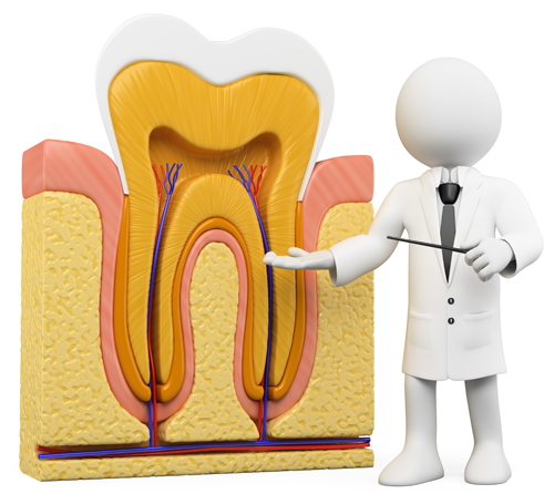 歯の神経の治療「根管治療」とは