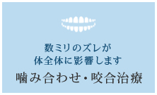 数ミリのズレが体全体に影響します【噛み合わせ・咬合治療】